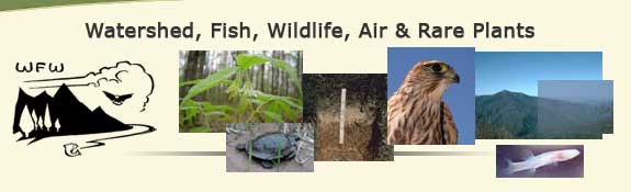 Watershed, Fish, Wildlife, Air & Rare Plants