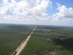 Photograph: Route 40 cutting through habitat to the horizon. Habitat fragmentation on the Ocala National Forest with State Route 40.
