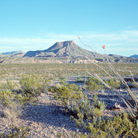 Tule Mountain rises above the desert