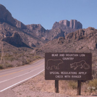 The Chisos Basin Road enters bear and panther country!