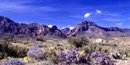 The Chisos Mountains tower above the desert lowlands
