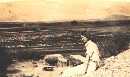 Cotton fields below Castolon, 1933