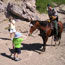 Park ranger on horseback