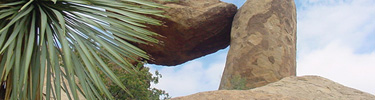 The Balanced Rock can be seen at the end of the Grapevine Hills Trail