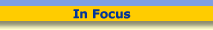 In Focus