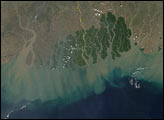 Ganges River Delta