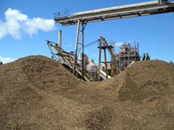 Forest biomass removed to reduce fire hazard can be used to produce electricity. Above, a biomass plant in California. Credit: Mark Nechodom