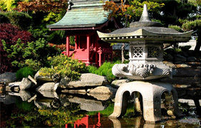 Having a great time touring Washington�s Japanese gardens. The cherry trees are in bloom!