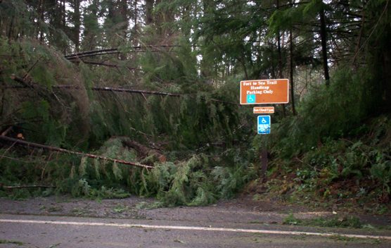 Fallen trees blocking the Fort to Sea Trail