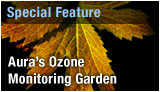 Aura Ozone Garden