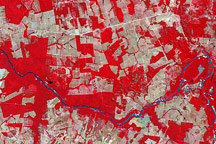 Deforestation in Mato Grosso, Brazil