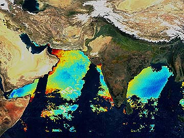 Imaged land around the Indian Ocean, and plot of fluorescence in the ocean waters using an ultraviolet band on MODIS.