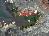 Salt Ponds, South San Francisco Bay