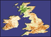 Fall Crops Fail to Emerge Across UK