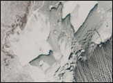 Cloud Streets Across Caspian Sea