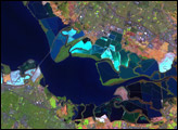 Salt Ponds in San Francisco Bay