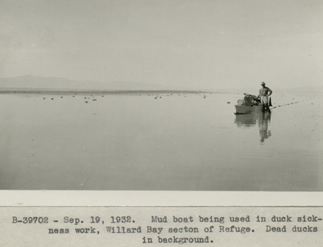 Mud boat being used for duck sickness (botulism) work.