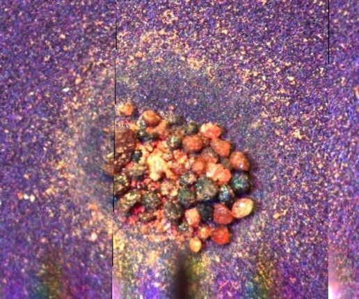 Microscope Image of Scavenged Particles