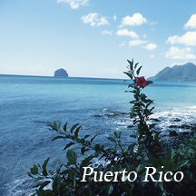 Coast of Puerto Rico