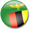 image of the flag of Zambia