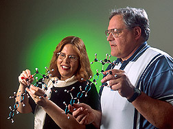 Chemist Betty Burri and biologist Terry Neidlinger compare models of tracer beta-carotene and natural beta-carotene.