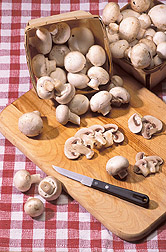 Photo: Mushrooms. Link to photo information