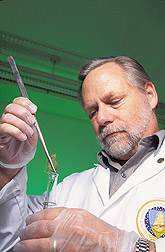 Chemist Chris Hawkes prepares a hair specimen.