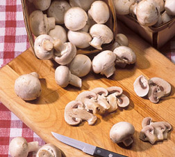Photo: Mushrooms. Link to photo information