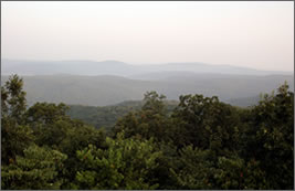 Morning mist in the Ozarks