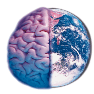 Brain/Earth