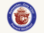 Smokey Bear - Only you can prevent Wildfires!