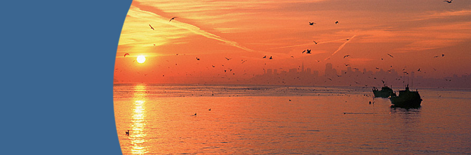 Photo by Dan Heller of Marin Sunrise on the water San Francisco in the distance.