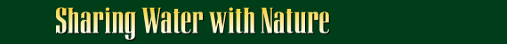 A graphic of a dark green banner with gold letters entitled Sharing Water with Nature.