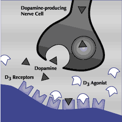 Brain Chemical Chart