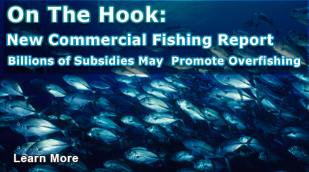 On The Hook: Commercial Fishing Reaps Billions