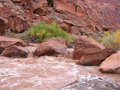 Escalante River in flood