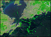 Algal Bloom Along the Coast of China