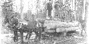 Blackand white old photo of three men standing on logs loaded on a wagon with horses attached