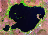 Lake Naivasha, Kenya