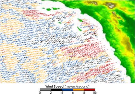 Santa Ana Winds