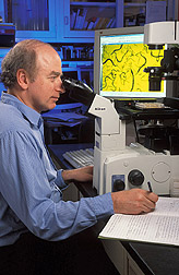 Zoologist examines effects of an inhibitor of sterol metabolism on nematode: Click here for full photo caption. 
