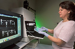 Molecular biologist uses a gel imaging system to analyze HSP-90 genes: Click here for full photo caption.