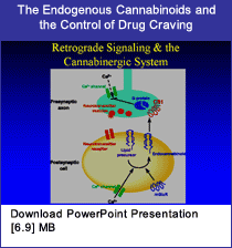 Link - PowerPoint presentation: The Endogenous Cannabinoids and the Control of Drug Craving