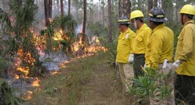 Rangers at Big Cypress