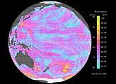 Typhoon Olga