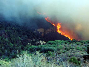 Pony Fire in Rock Canyon.