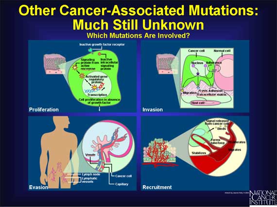 Other Cancer-Associated Mutations: Much Still Unknown