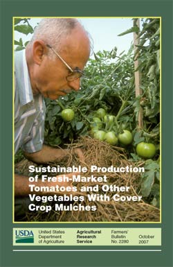 Cover, photo of scientist examining mulch around tomato plants: Click here to view publication online (pdf file).