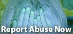 Report abuse