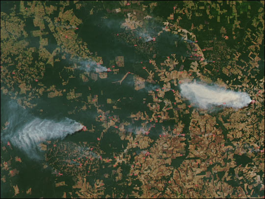 Extensive Fires in the Amazon
